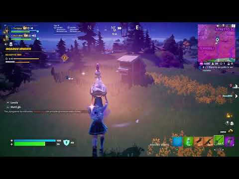 RIPORTA UN POLLO IN UN RECINTO ( Return a Chicken to a Pen)