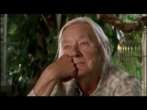 Pik & Amadeus Freunde wider Willen Komödie, D 2006 HD