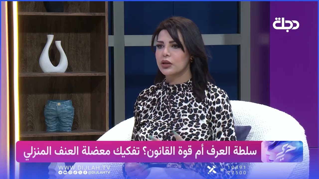 فيديو | المحامية دينا عامر تشرح الأبعاد القانونية والاجتماعية للعنف الأسري