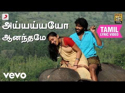 கும்கி - அய்யய்யயோ ஆனந்தமே தமிழ் பாடல்வரிகள்