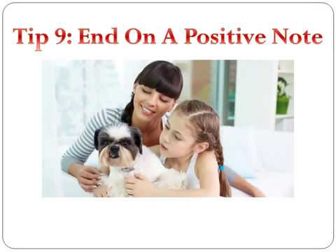 brain training dog Tips   9 Top Tips On How To Train Your Dog