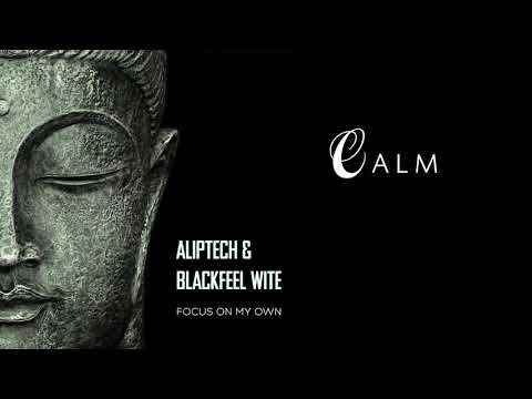 Aliptech & Blackfeel Wite   Focus on my own