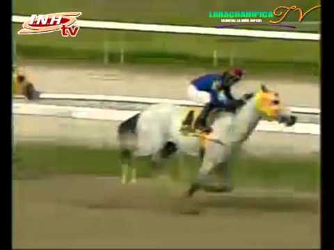 LA RINCONADA 8 CARRERA DOMINGO 30 DE NOVIEMBRE DEL 2014