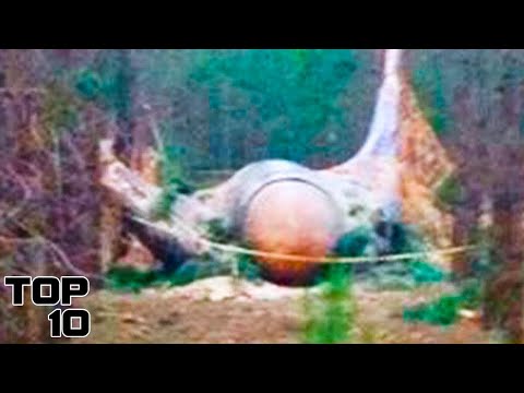 Top 10 Cursed Objects Hidden In North America Scientists FEAR You Will Find