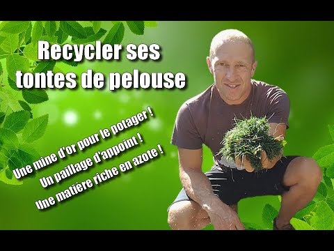 Recycler ses tontes de pelouse
