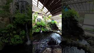 森の水族館 #日本一小さい水族館 #観光 #高山 #森の小さなレストラン