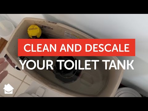 Part of a video titled How to Clean and Descale Your Toilet Tank - YouTube