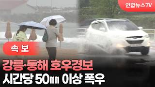 비 많이 내리는 강릉시