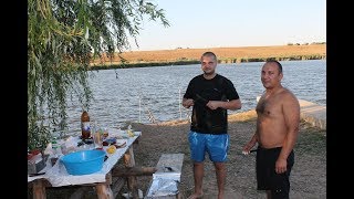 Ссылка