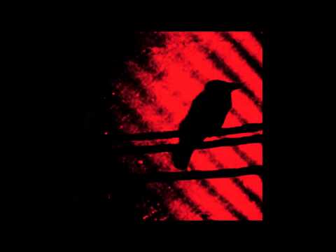 Video thumbnail for This gentle hearts like shot bird’s fallen.
