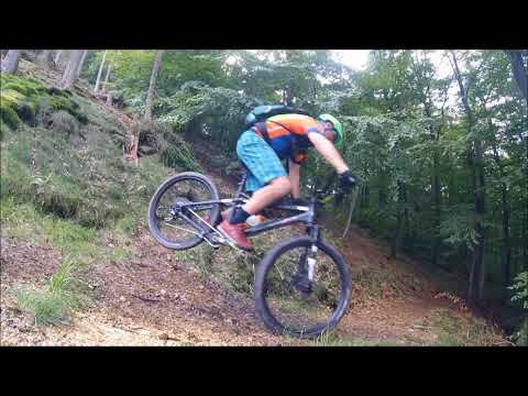 MTB Fahrtechnik - Spitzkehren & Umsetztechnik, Trailflow, Baumstämme