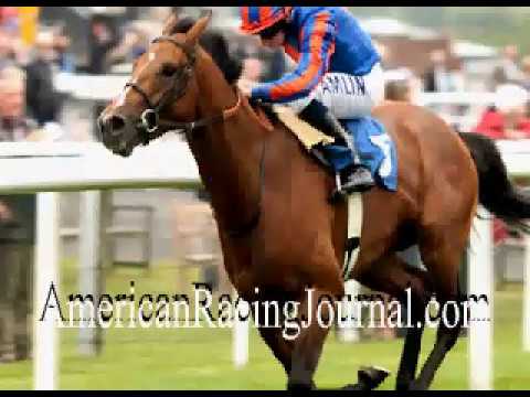 Horse Racing Tips Breeders Cup Picks