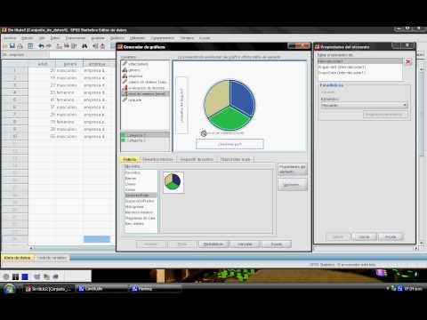 grafico de torta.avi