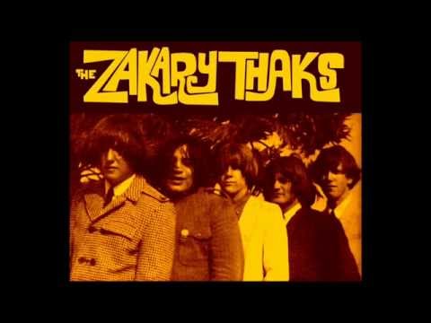 Zakary Thaks - She's Got You.