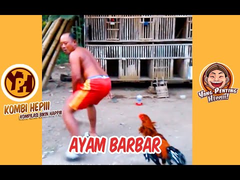 kombi-heppiii-ayam-bar-bar