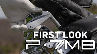 TaylorMade P7MB Golf Irons Steel (Custom)
