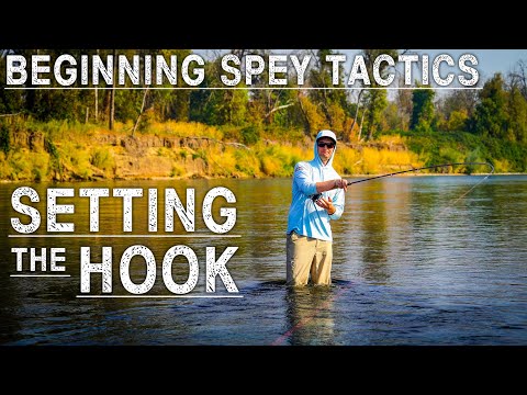 Setting The Hook | Beginning Spey Tactics Ep. 8