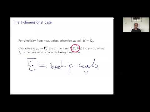 Moduli stacks of (phi,Gamma)-modules