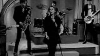 The Psychedelic Furs - We Love You (with interview)