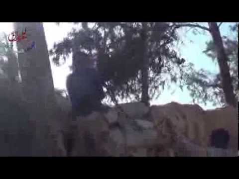 اشتباكات بين لواء جسر حوران وقوات النظام على جبهة النعيمة في ريف درعا