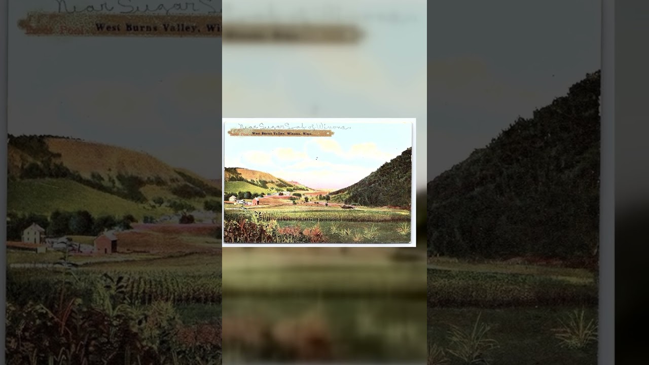 O.L. Taylor Divided Back Postcard, West Burns Valley, Winona, Minn, c.1907 Video