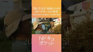Download lagu 【家族の14年】困難乗り越え”米作り”追求する女性 20ヘクタールの希望『Nドキュポケット』 NNNセレクション #Shorts mp3 Download lagu 【家族の14年】困難乗り越え”米作り”追求する女性 20ヘクタールの希望『Nドキュポケット』 NNNセレクション #Shorts mp3