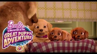 Meet Honey, Rookie, and DJ | Barbie &amp; Her Sisters in a Great Puppy Adventure | Barbie