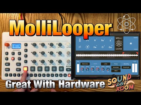 MolliLooper - The Looper That Never Forgets - Works Great With Your Hardware Gear - Tutorial
