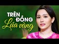 Trên Đồng Lúa Vàng Ngọc Diệu Official 4K Music Video