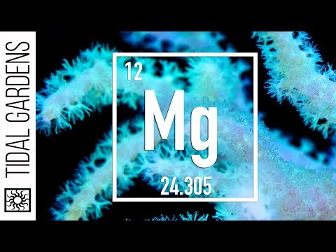Testing for Magnesium in your Reef Tank