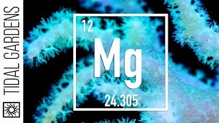 Reef Chemistry: Magnesium Level Testing