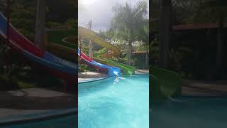 preview picture of video 'Giant pool Iguana Water Park Catacamas Honduras'