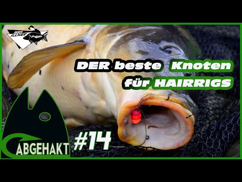 ABGEHAKT #14: DER BESTE KNOTE FÜR HAIRRIGS
