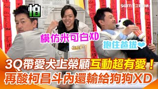 陳柏惟帶愛犬上榮顧互動爆萌！講狗知識竟曝「台灣狗跟白色恐怖台灣人一樣都會做1事」刻在DNA裡！再酸：講狗的斗內都比講黃國昌、柯文哲多…根本人不如狗XD【94要客訴】