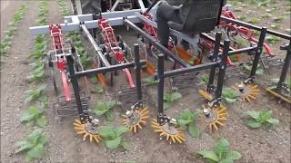 &Uacute;j Cultivator - Prășitoare cu ghidare SOLAN model P501/1 kultiv&aacute;tor | K&eacute;p 4 - Agroline