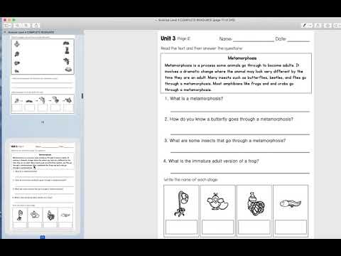 Science Leveled Daily Curriculum Level 4 Product Preview