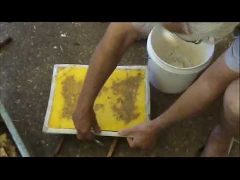 Beekeeping: Processing the Beeswax.