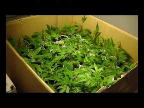 "MUSISZ ZNAĆ TEGO CENE " prod. MASA