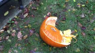 Home alone & SMASHING PUMPKINS