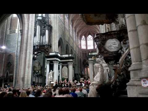 Fragment uit fanfare van honger en dorst door die Verdammte Spielerei