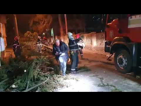 URGIA NATURII, Albestii de Argeș