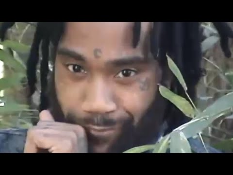 LoLifeLane - P!nk Pu$$y (Official Music Video)