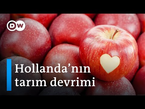 , title : 'Hollanda'nın tarım başarısının sırrı | Nasıl dünyanın 2. büyük gıda ihracatçısı oldu? - DW Türkçe'