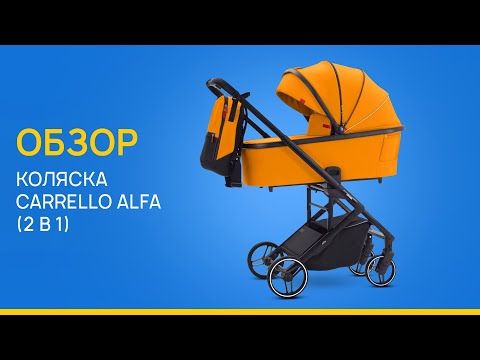фото детская коляска-трансформер carello alfa 2 в 1 0