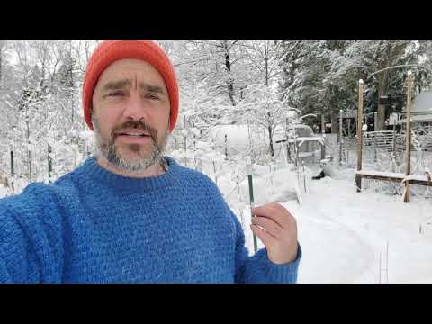 EdibleAcres' Spring Relocation: Big Changes Coming!