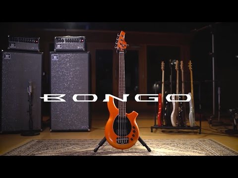 Ernie Ball Music Man Bongo 5 - Stealth Black image 24