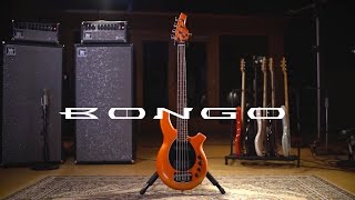 Video thumbnail for Ernie Ball Music Man Bongo 5 Bass by Ernie Ball