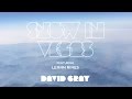 David Gray - Snow In Vegas (featuring LeAnn Rimes)