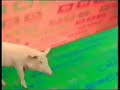 CBBC 1994 1997 Ident 9