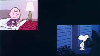 Snoopy  Sleep